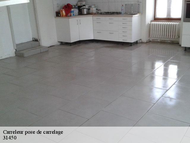 Carreleur pose de carrelage  31450