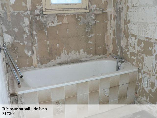 Rénovation salle de bain  31780