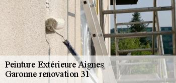Peinture Extérieure  aignes-31550 Garonne renovation 31