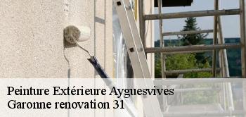 Peinture Extérieure  ayguesvives-31450 Garonne renovation 31