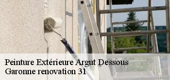 Peinture Extérieure  argut-dessous-31440 Garonne renovation 31