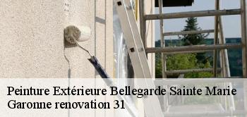 Peinture Extérieure  bellegarde-sainte-marie-31530 Garonne renovation 31