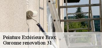 Peinture Extérieure  brax-31490 Garonne renovation 31