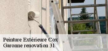 Peinture Extérieure  cox-31480 Garonne renovation 31