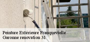 Peinture Extérieure  franquevielle-31210 Garonne renovation 31