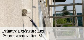 Peinture Extérieure  lux-31290 Garonne renovation 31