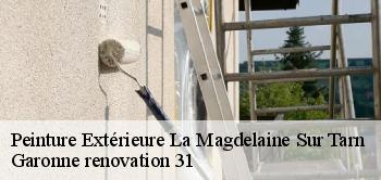 Peinture Extérieure  la-magdelaine-sur-tarn-31340 Garonne renovation 31