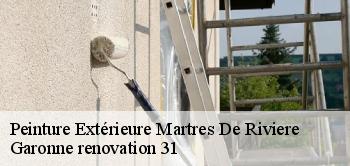 Peinture Extérieure  martres-de-riviere-31210 Garonne renovation 31