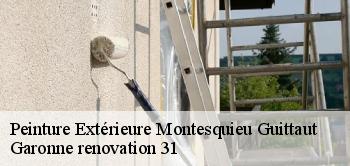 Peinture Extérieure  montesquieu-guittaut-31230 Garonne renovation 31