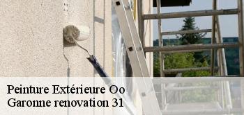 Peinture Extérieure  oo-31110 Garonne renovation 31