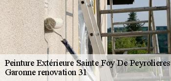 Peinture Extérieure  sainte-foy-de-peyrolieres-31470 Garonne renovation 31