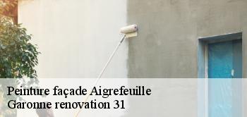 Peinture façade  aigrefeuille-31280 Garonne renovation 31