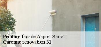 Peinture façade  aspret-sarrat-31800 Garonne renovation 31