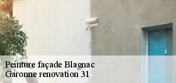 Peinture façade  blagnac-31700 Garonne renovation 31