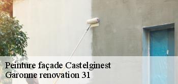 Peinture façade  castelginest-31780 Garonne renovation 31
