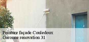 Peinture façade  couledoux-31160 Garonne renovation 31