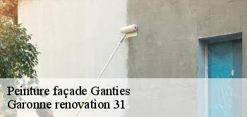 Peinture façade  ganties-31160 Garonne renovation 31