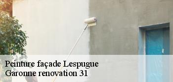 Peinture façade  lespugue-31350 Garonne renovation 31