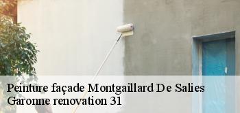 Peinture façade  montgaillard-de-salies-31260 Garonne renovation 31