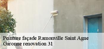 Peinture façade  ramonville-saint-agne-31520 Garonne renovation 31