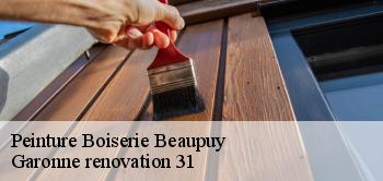 Peinture Boiserie  beaupuy-31850 Garonne renovation 31