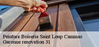 Peinture Boiserie  saint-loup-cammas-31140 Garonne renovation 31
