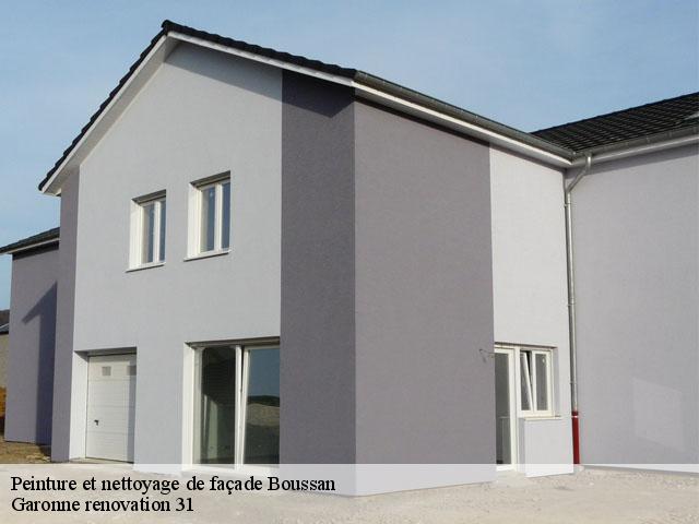 Peinture et nettoyage de façade  boussan-31420 Garonne renovation 31
