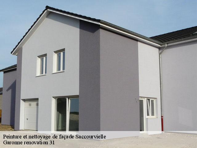 Peinture et nettoyage de façade  saccourvielle-31110 Garonne renovation 31